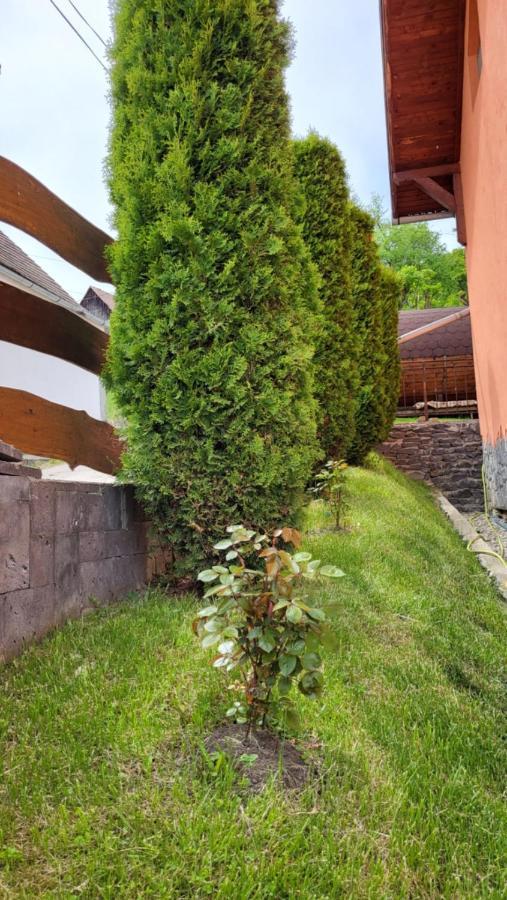 Pension Norbert Sighisoara Ngoại thất bức ảnh